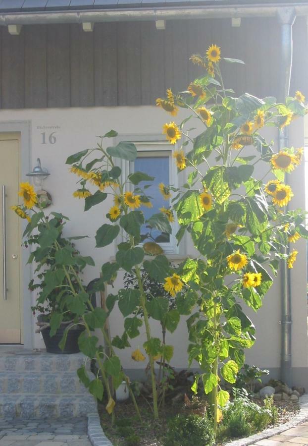 Am Obstgarten